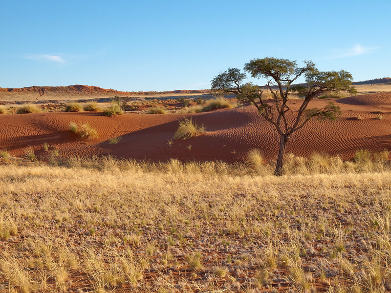 Namib Desert Lodge